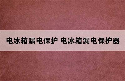 电冰箱漏电保护 电冰箱漏电保护器